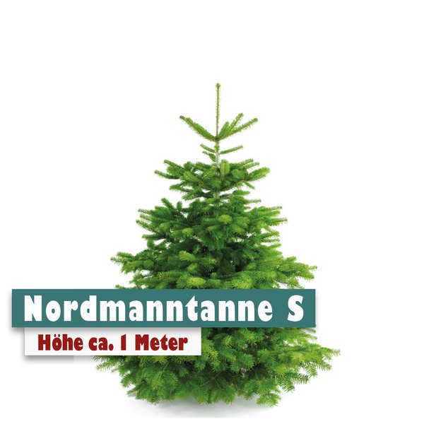 Nordmanntanne Weihnachtsbaum S