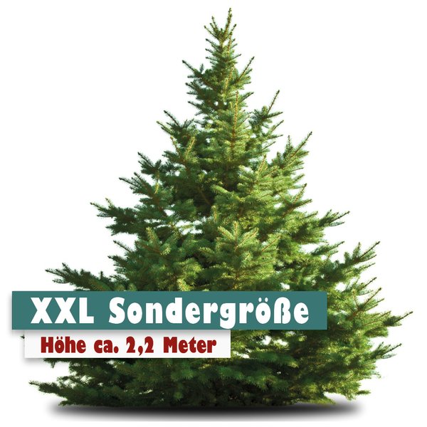 SONDERGRÖSSE Nordmanntanne Weihnachtsbaum 2,2 Meter