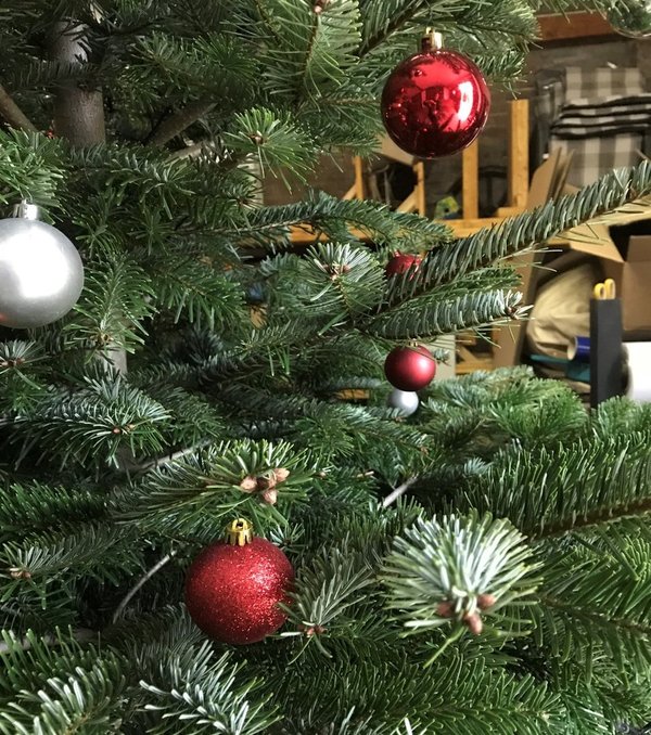 Nordmann Weihnachtsbaum geschmückt 2,2 Meter